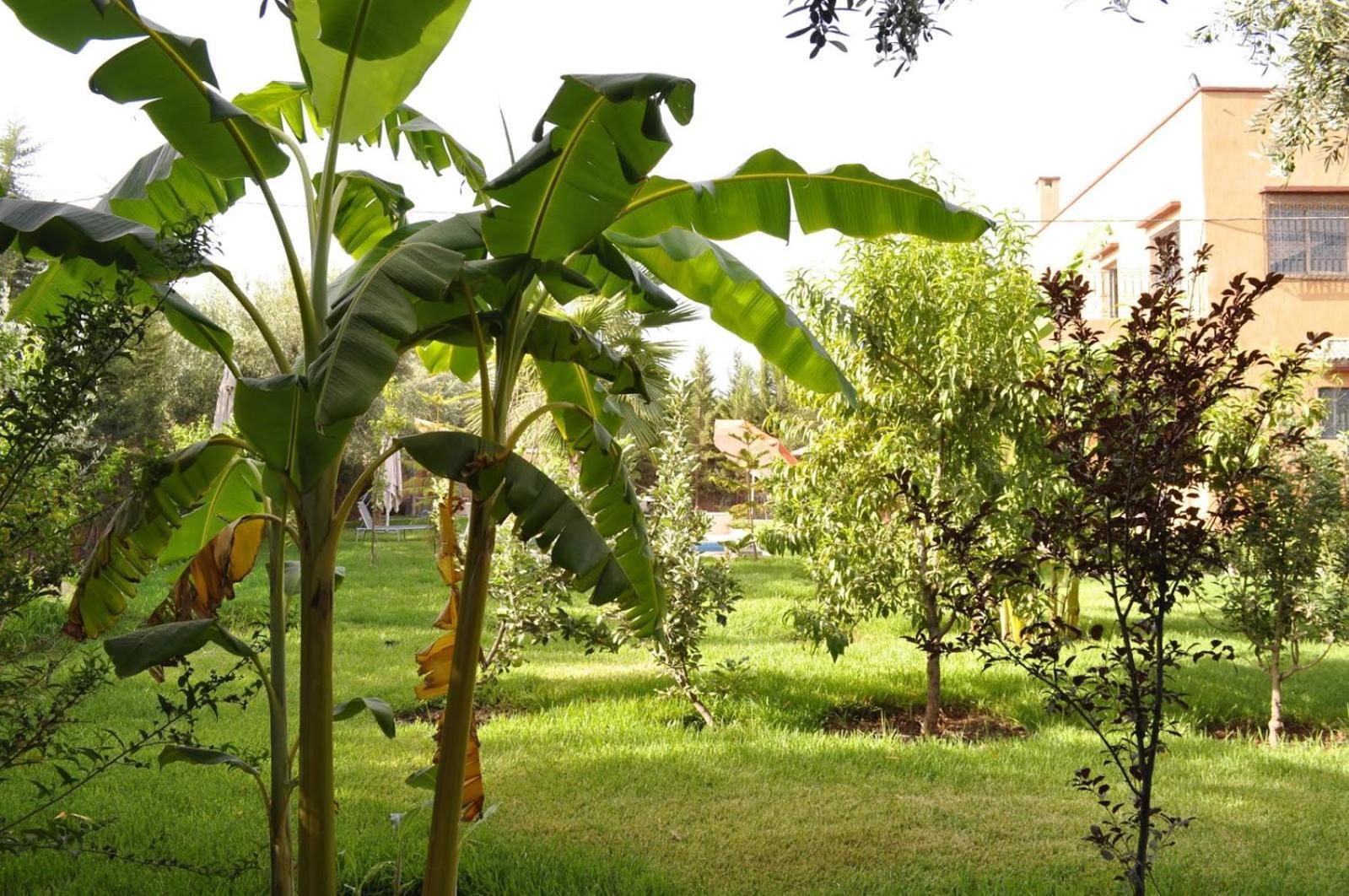Ilafe Farmhouse, Villa Avec Piscine Chauffee Privee Et Jacuzzi Pour Familles Marrakesh Exterior foto